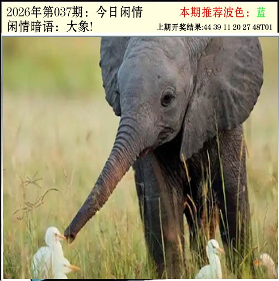 037期今日闲情2[图]