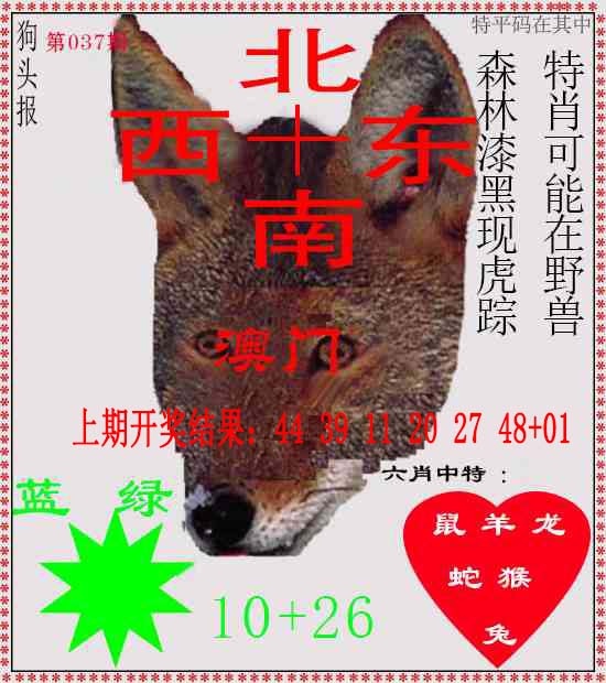 037期狗头报[图]