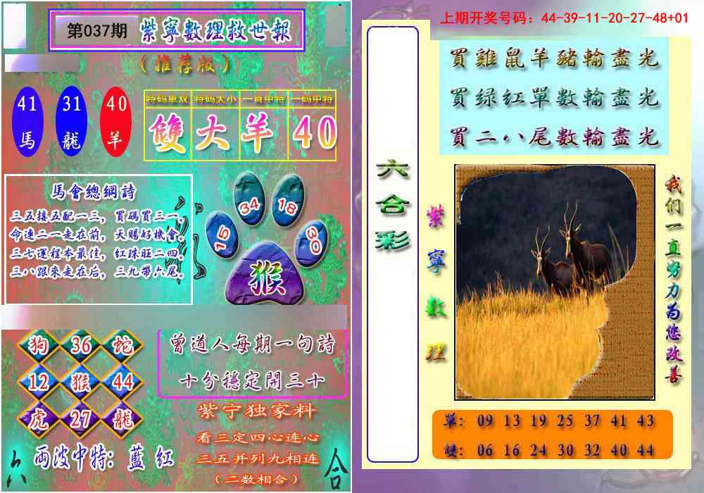 037期数理救世报[图]