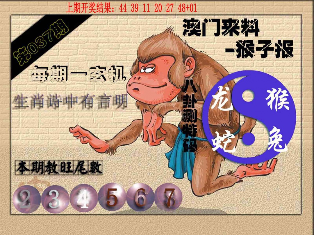 037期(来料)猴报[图]