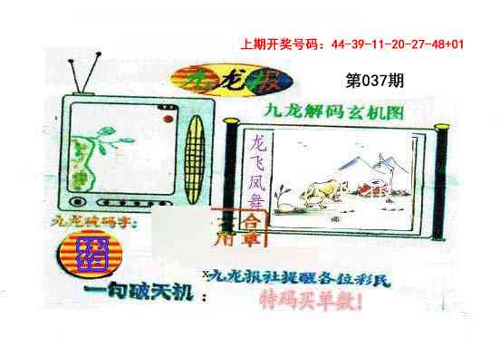 037期九龙报[图]