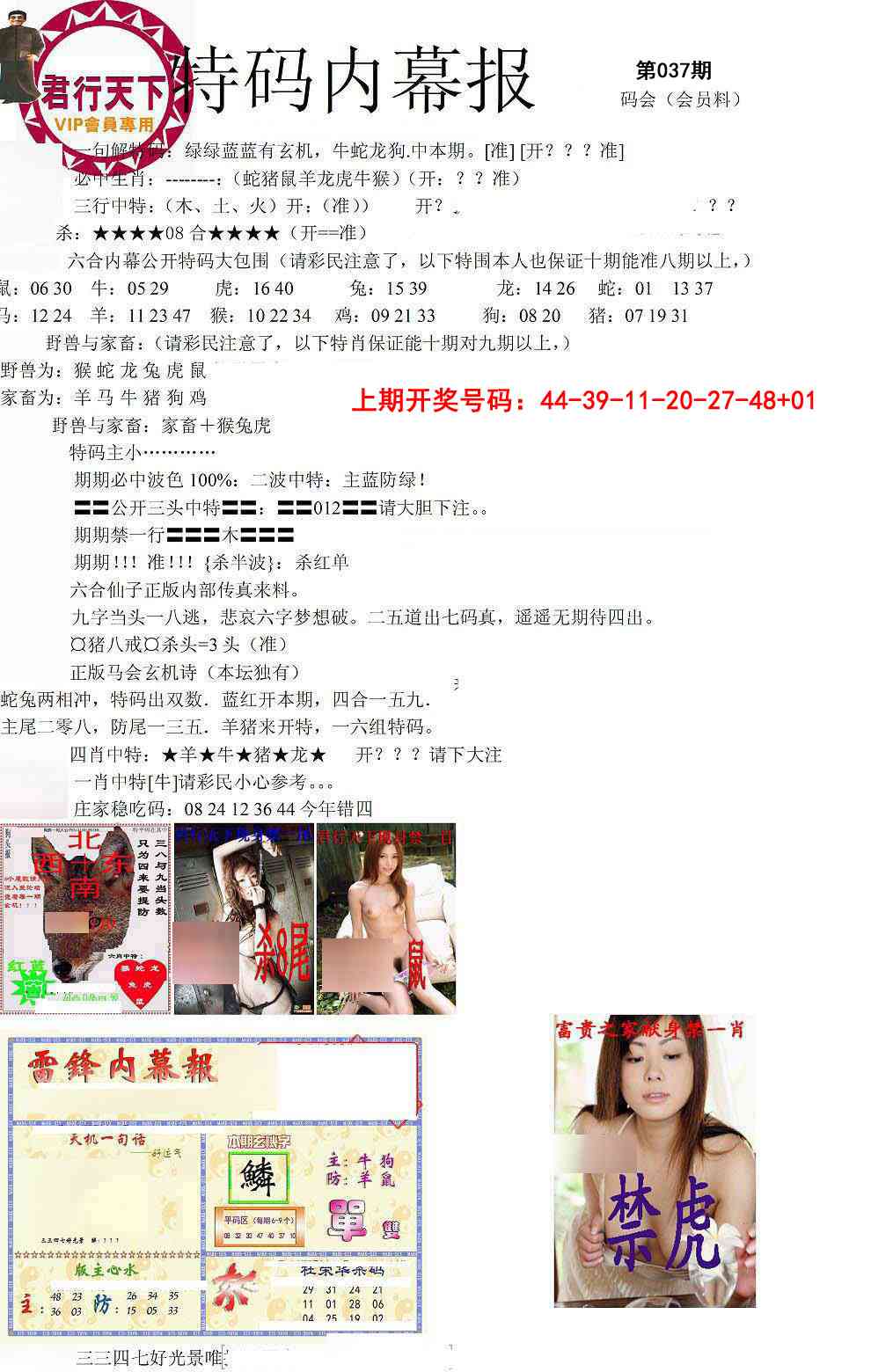 037期特码内幕报[图]