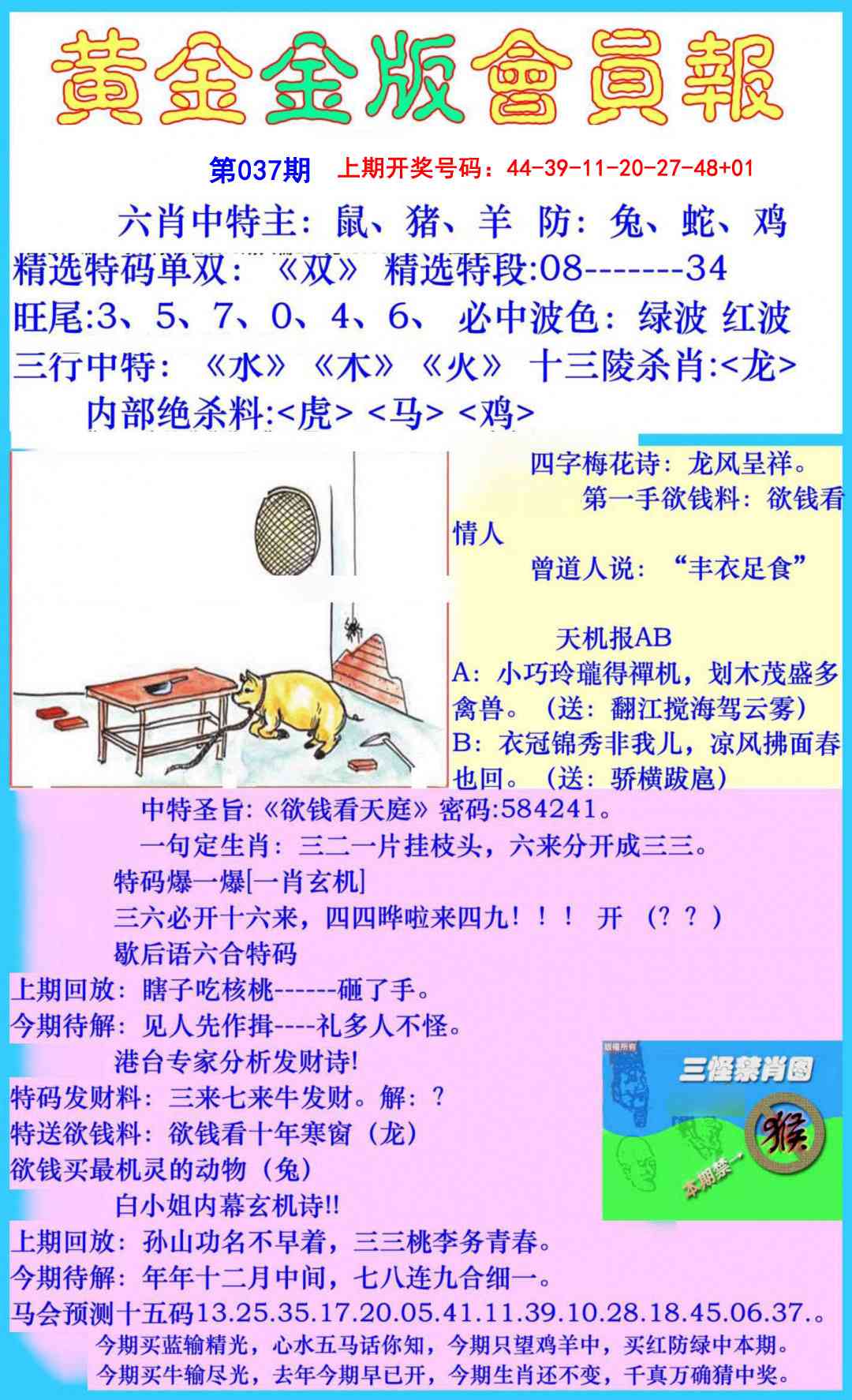 037期黄金金版会员报[图]