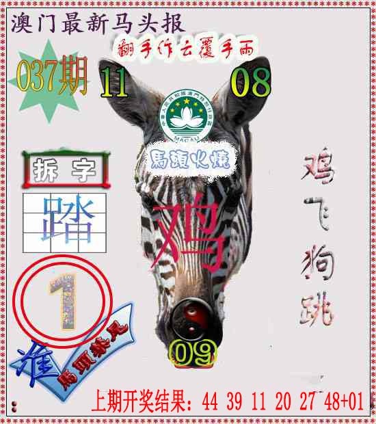 037期马头报[图]