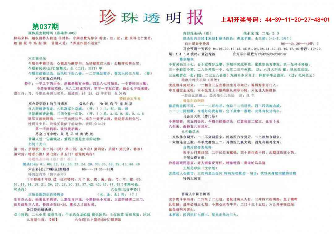 037期珍珠透明报[图]