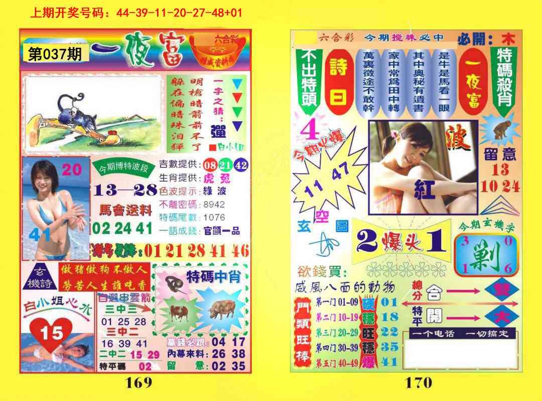 037期一夜富[图]