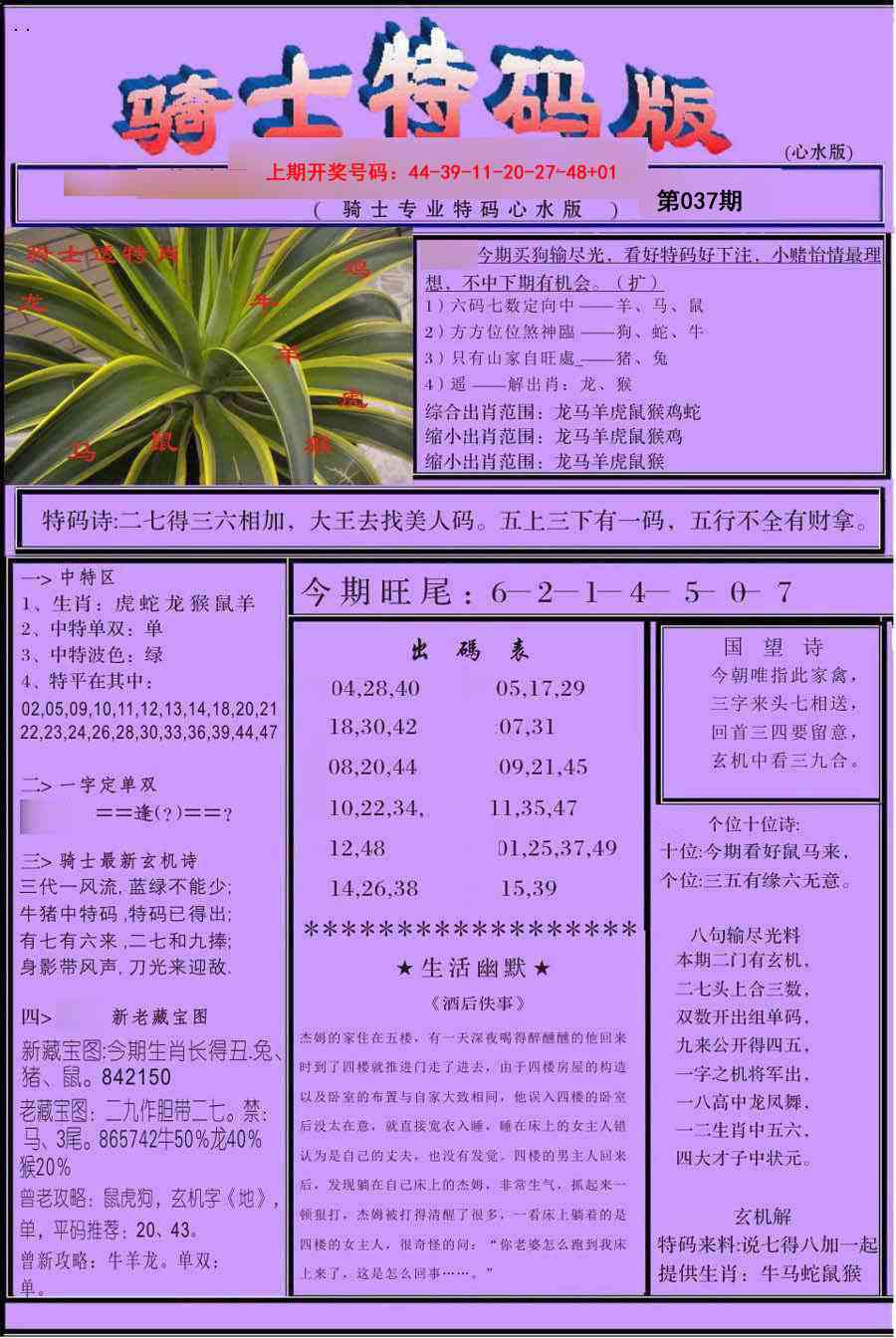 037期骑士特码版[图]