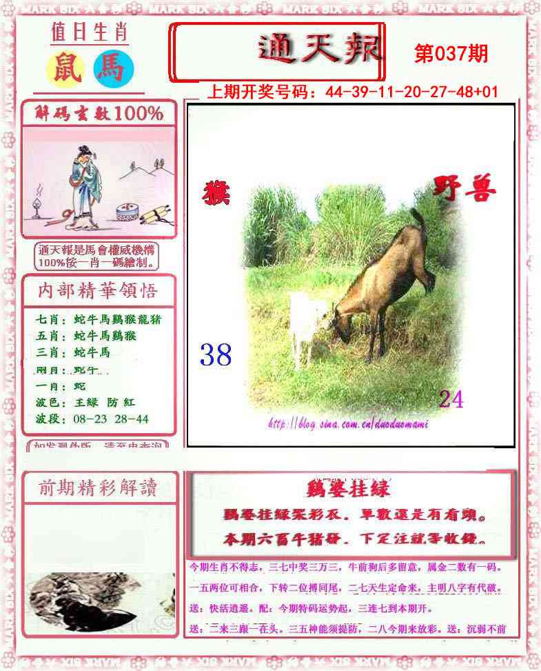 037期小喜通天报[图]