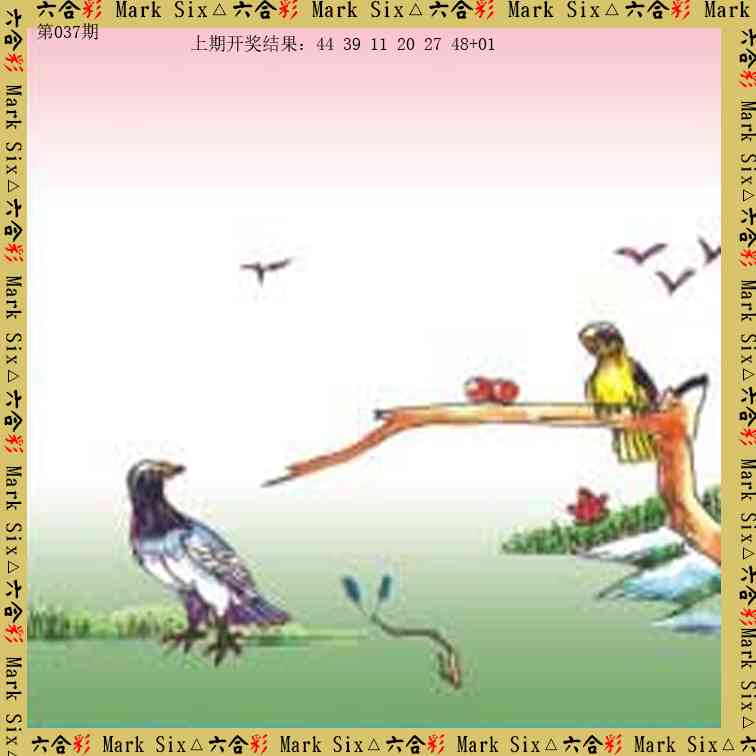 037期藏宝图[图]