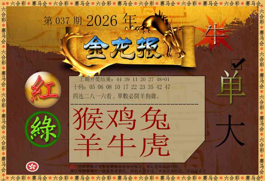 037期金龙报[图]