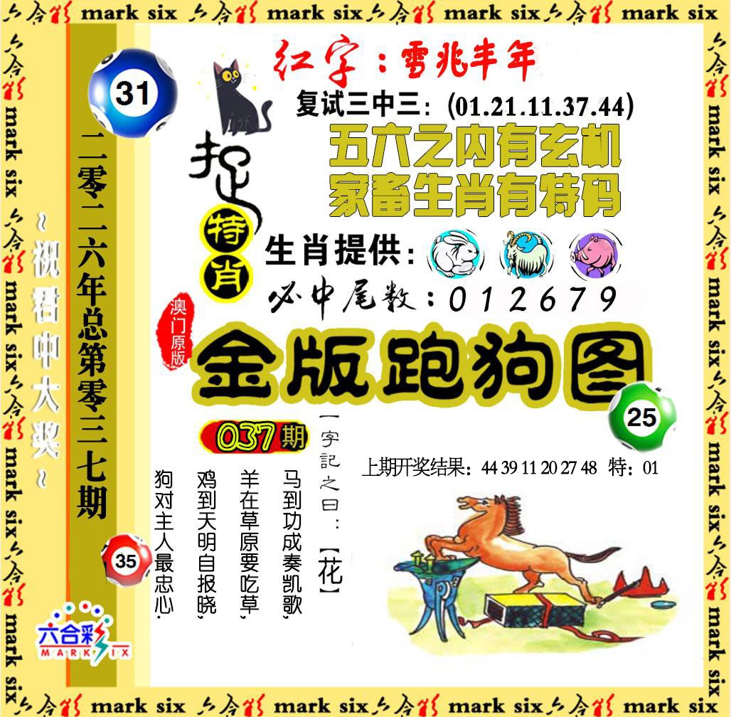 037期金版跑狗图[图]
