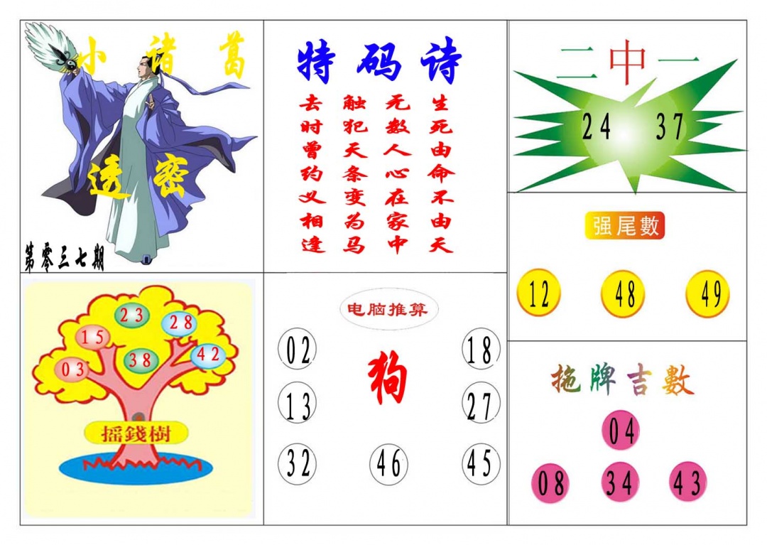 037期小诸葛[图]