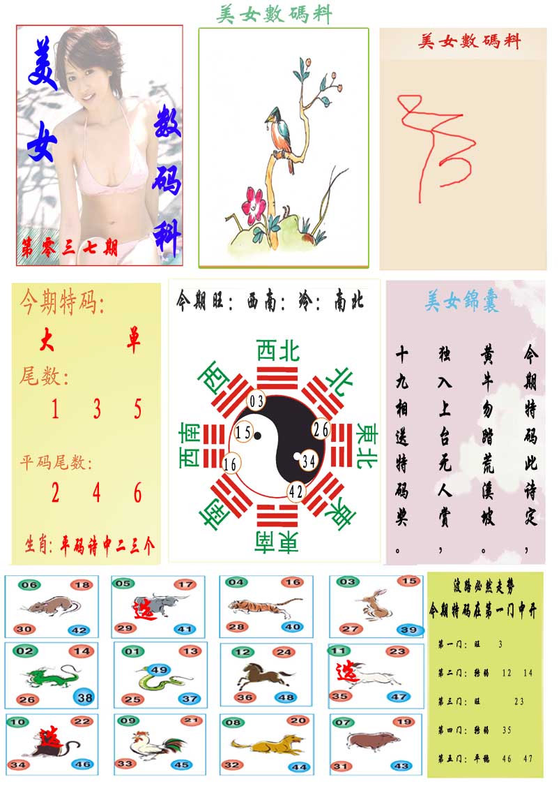 037期美女数码料[图]