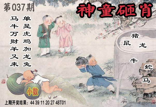 037期神童砸肖[图]