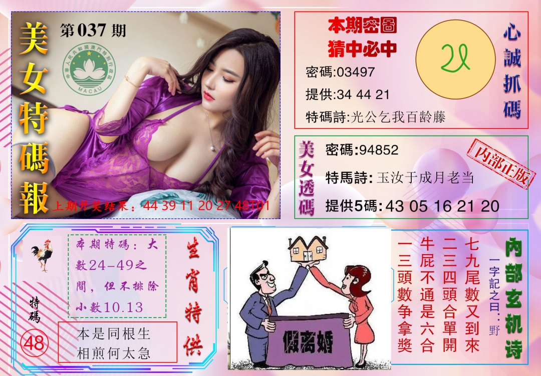 037期美女特码报[图]