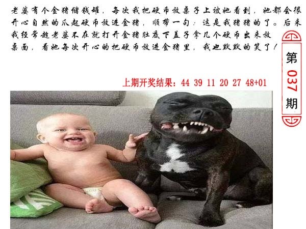 037期澳门生活幽默[图]