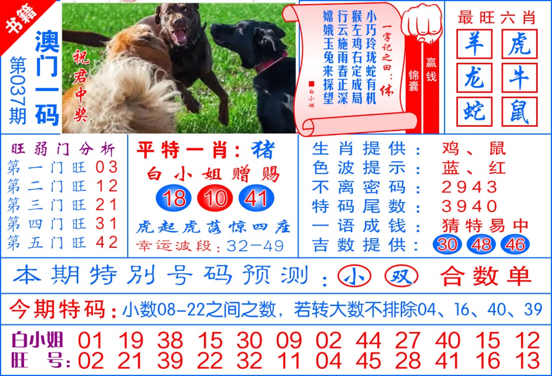 037期澳门飞龙宝典[图]