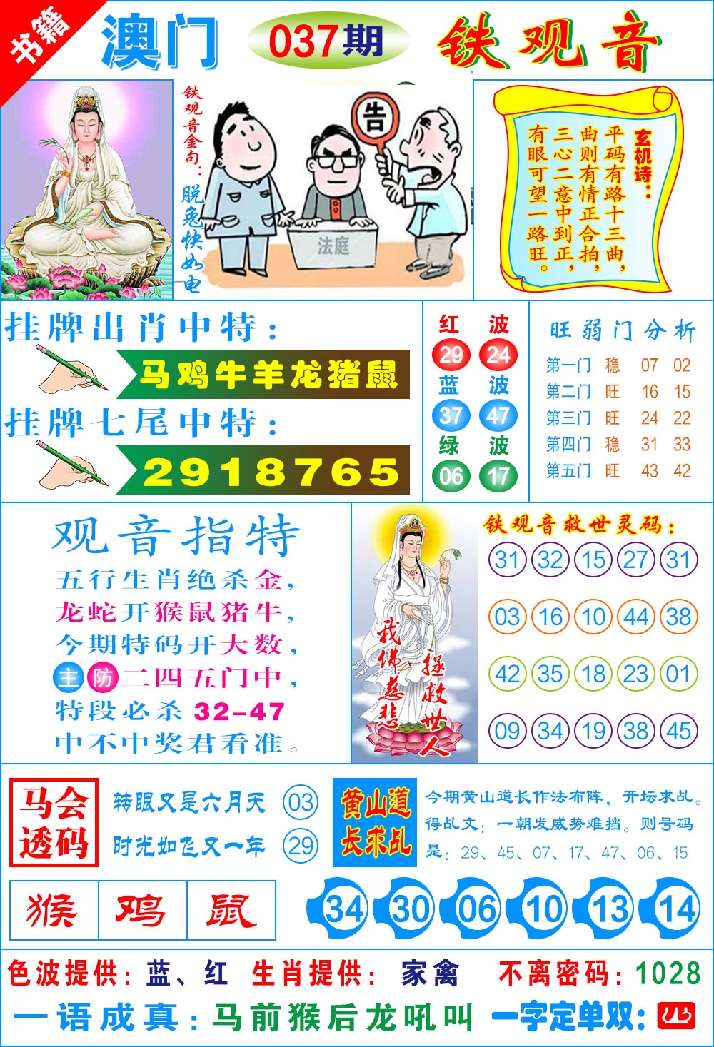 037期澳门铁观音[图]