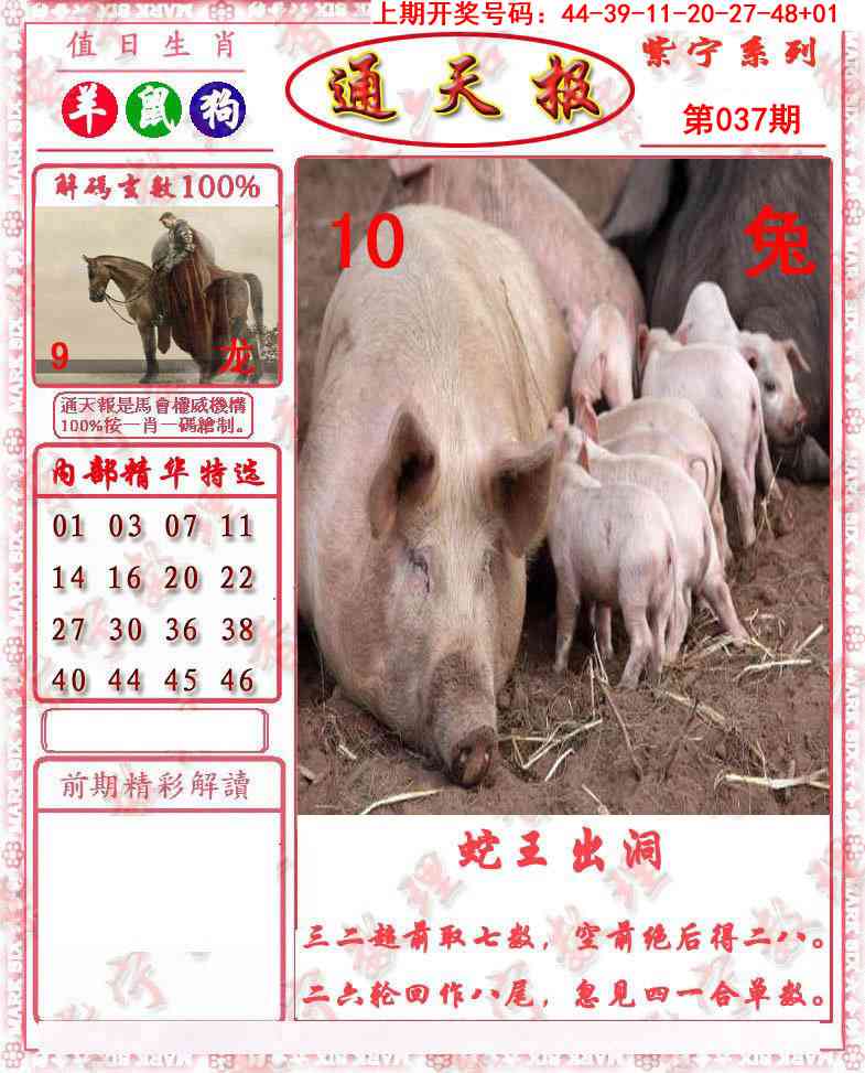 037期救通报[图]