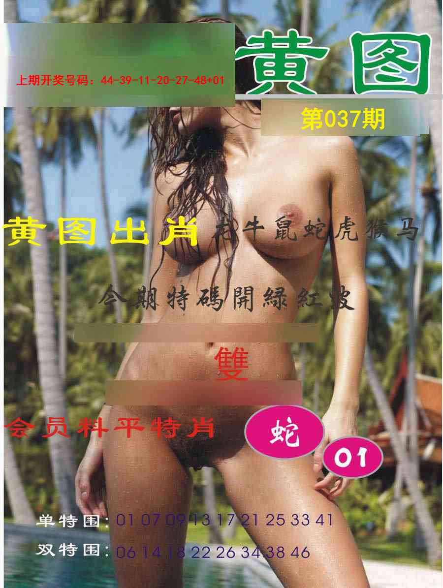 037期黄图[图]