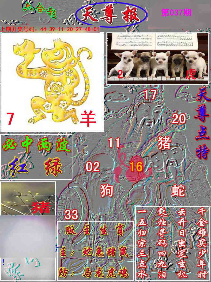 037期天尊报[图]