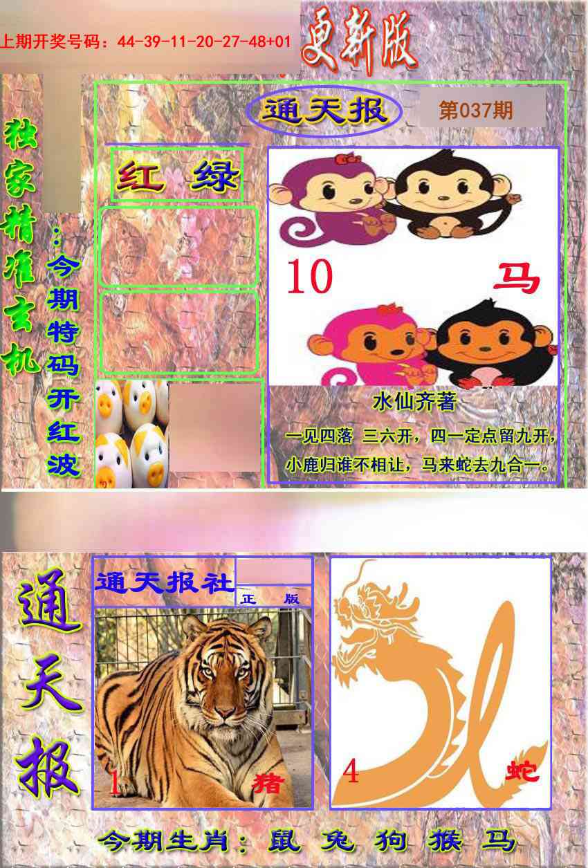 037期新通报[图]