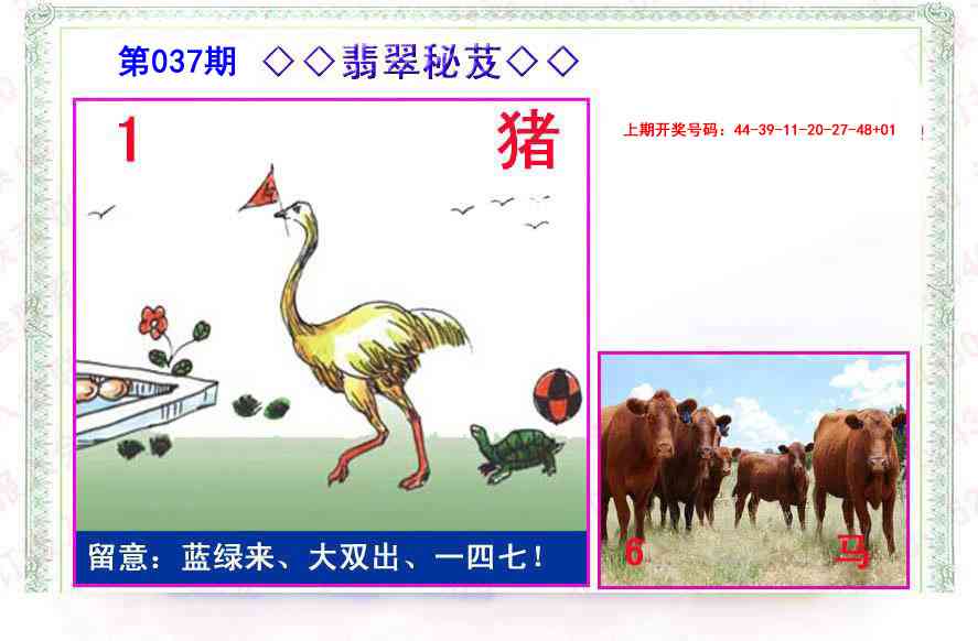 037期翡翠报[图]