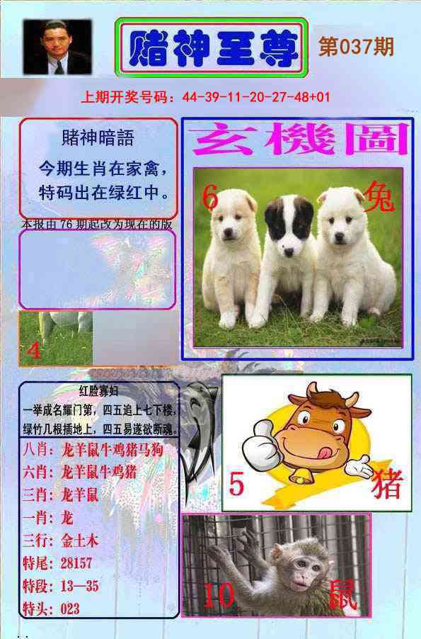 037期赌神至尊[图]