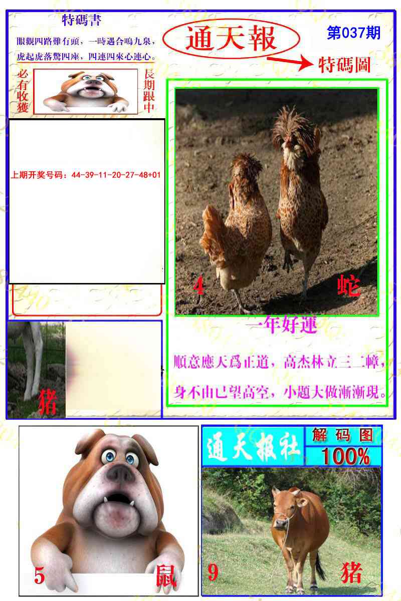 037期通天特解图[图]