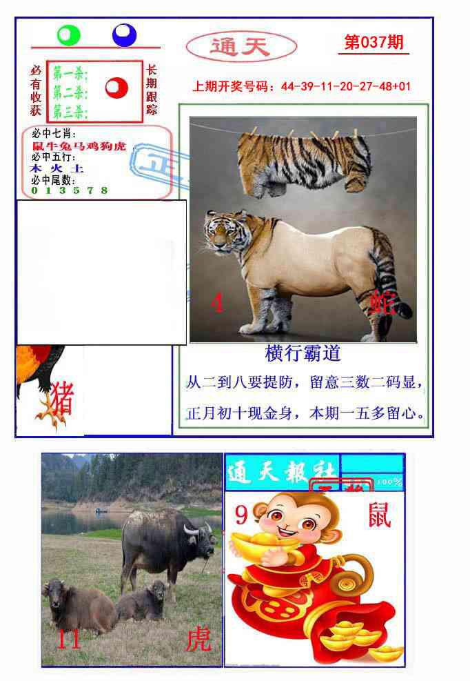 037期通天杀波图2[图]