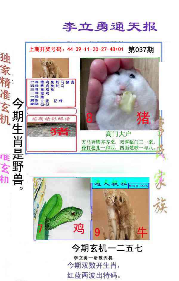 037期李立勇通天报[图]