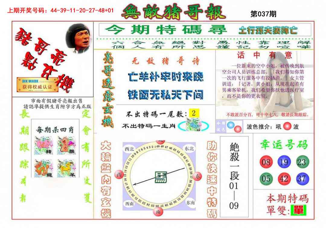 037期无敌猪哥[图]