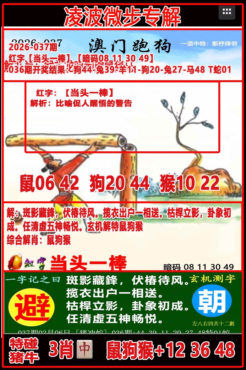 037期凌波微步[图]