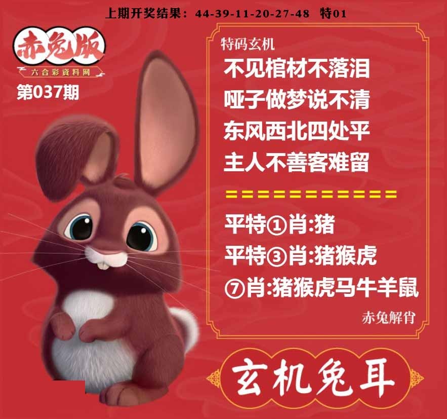 037期玄机兔耳[图]
