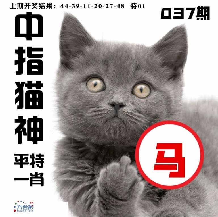 037期中指猫神[图]